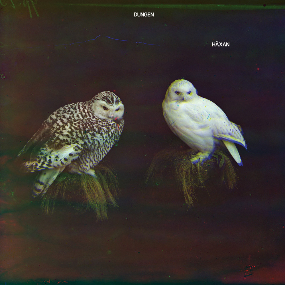 Dungen